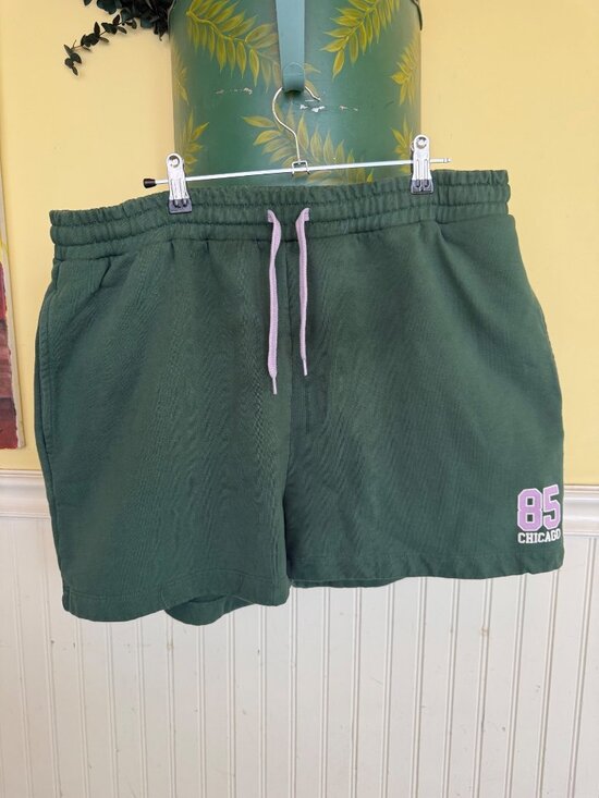 Anthropologie Pants - Anthropologie Green Drawstring Shorts With "85 Chicago" Graphic Size L 100% Cott